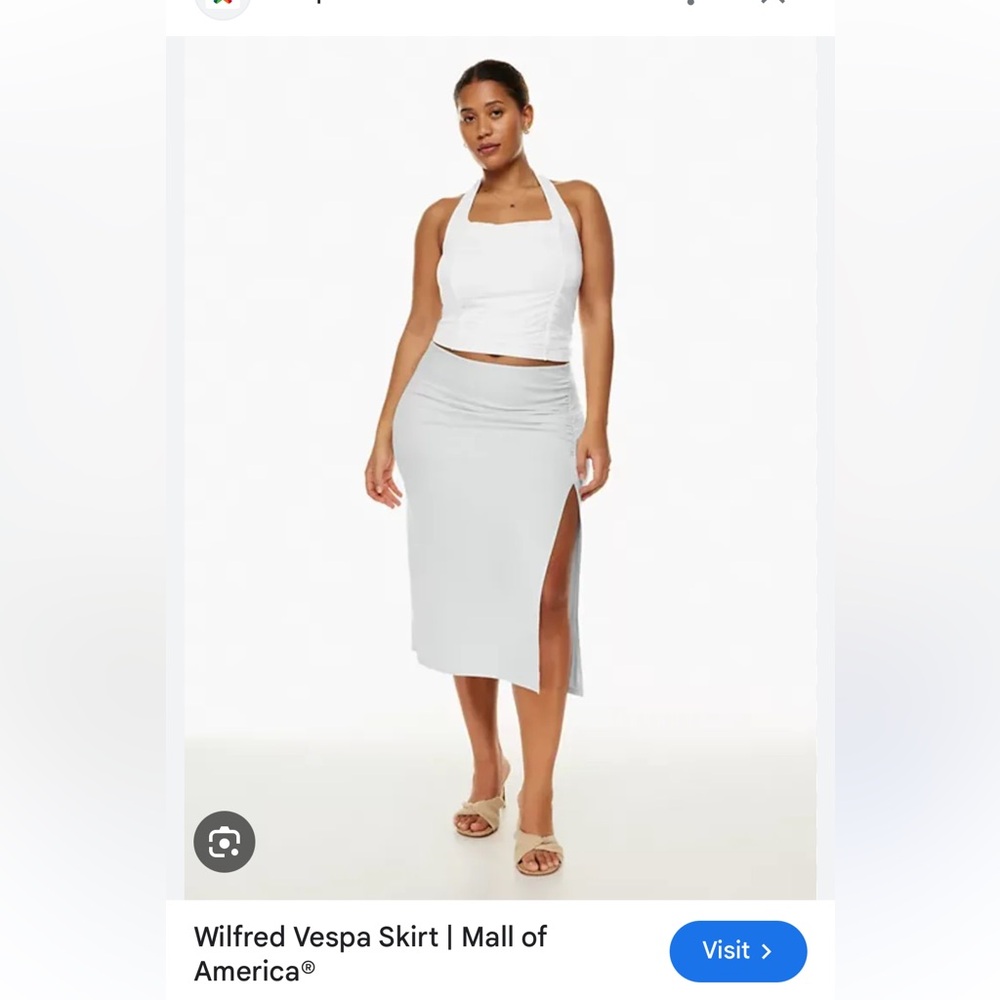 Wilfred Vespa Skirt light blue Aritzia